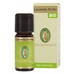 Lavanda Ibrida Bio 10 ml...